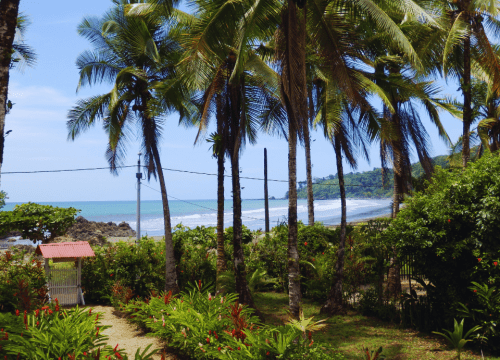 Nuquí y Bahía Solano: selva, mar y ballenas en el corazón del Pacífico