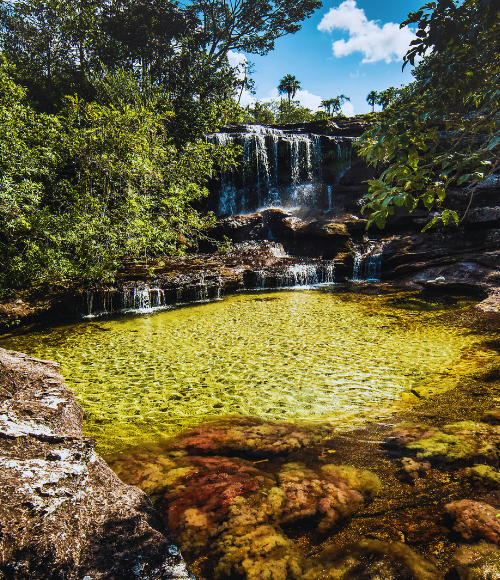 Caño Cristales