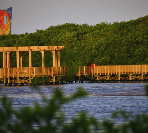 Walking Tour Ecoparque Cienaga de Mallorquín